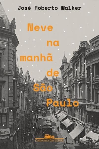 Neve na manhã de São Paulo